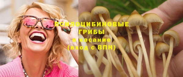 стаф Абаза