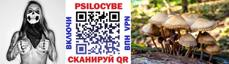 Псилоцибиновые грибы мухоморы  закладки  Вытегра 